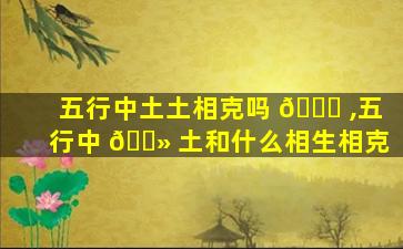 五行中土土相克吗 🐎 ,五行中 🌻 土和什么相生相克